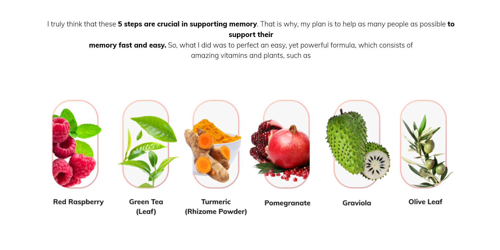 Diagram showing main ingredients of Memo Max Pro